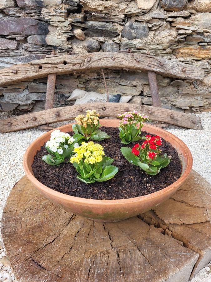 Alva Bed and breakfast Coja